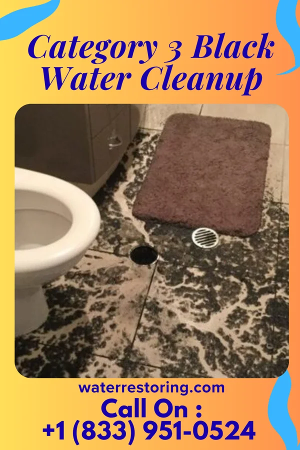 Category 3 Black Water Cleanup in Fountain Hills, AZ